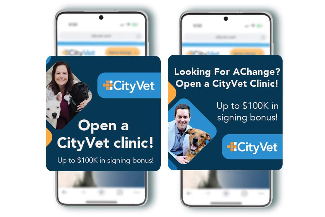 City Vet